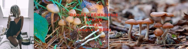 марки nbome Абаза
