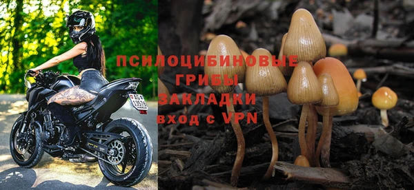 стаф Абдулино