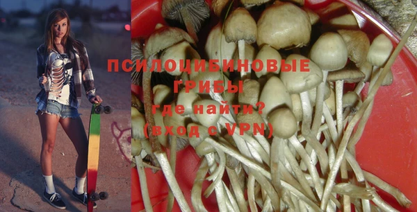 дурь Абинск