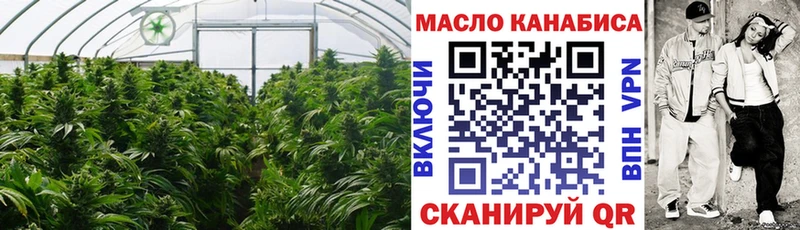 ТГК Wax  mega маркетплейс  Кинешма 