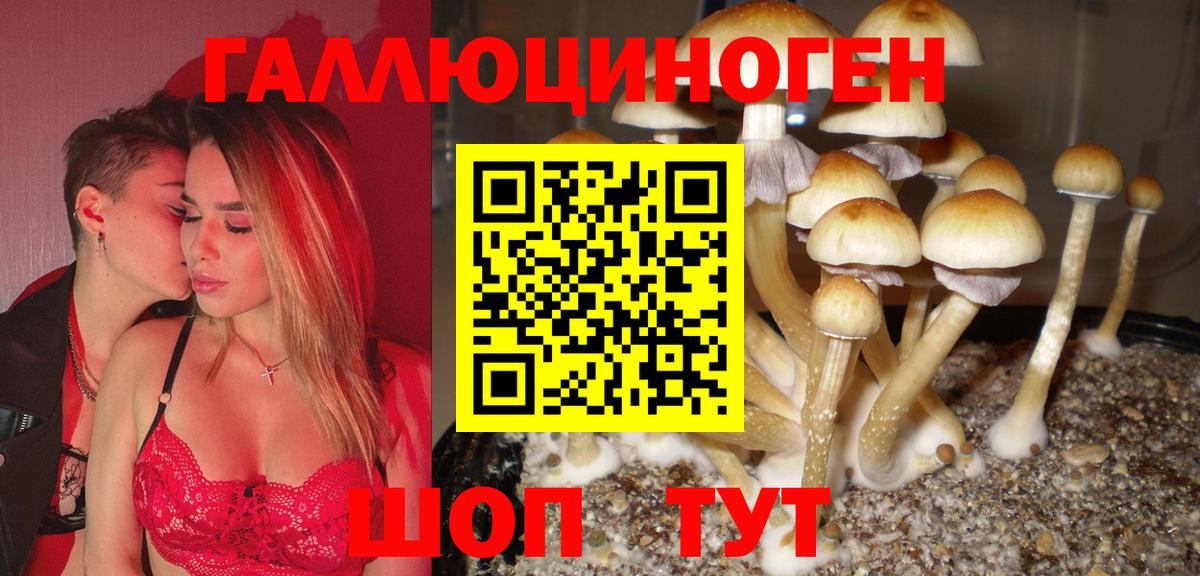 Галлюциногенные грибы ЛСД Кинешма